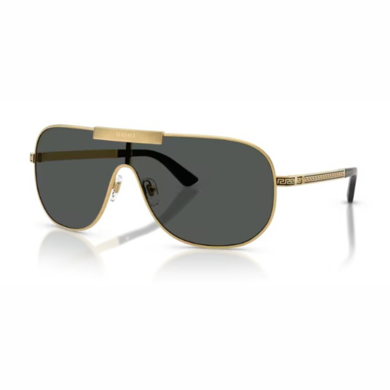 VERSACE 2293 1002-87